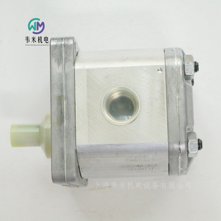 GP20140R95B20N迪普馬齒輪泵 (1)