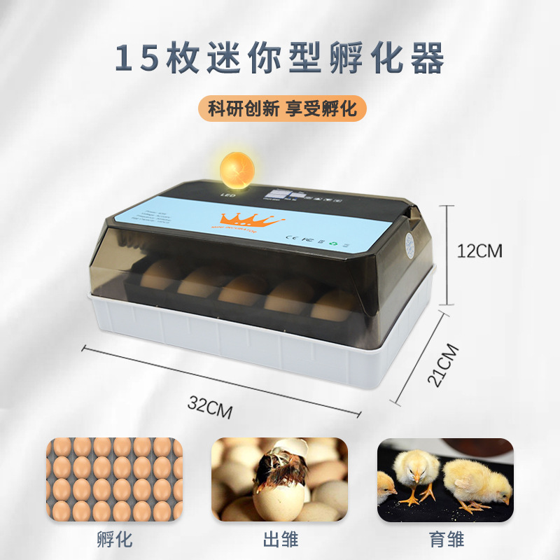 15 automático pequeño hogar incubadora pollo pato codorniz paloma incubadora mini alimentador de agua hervidor