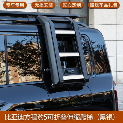 frame appearance kit tent, Roof rack - equation-leopard-5-ladder-black-silver-magnet-hidden-lossless-installation
