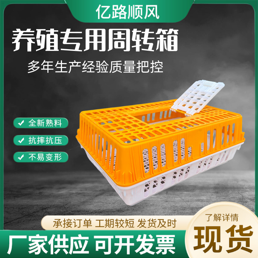 Los fabricantes suministran jaulas de plástico para pollos gruesos, pollos, patos, gansos, palomas y conejos.