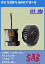 �a�ؐa����&�ߵ͜�ԇ����ѭ�h�L�C