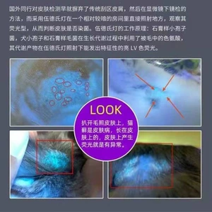Wood's lamp for detecting cat fungus, ultraviolet fluorescent agent, purple light lamp, pet disease detection, pet fungus detection flashlight