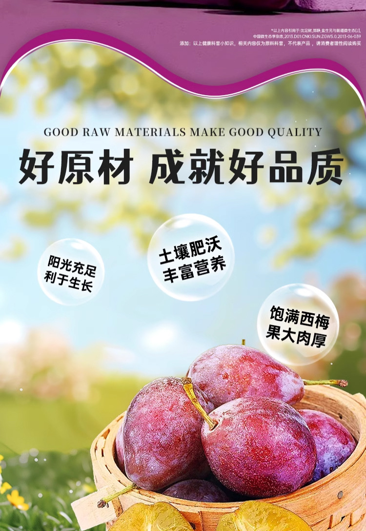 Prebiotic Prune Juice Concentrate Ready to Drink 150ml High Fiber Fruit and Vegetable Beverage quality and texture