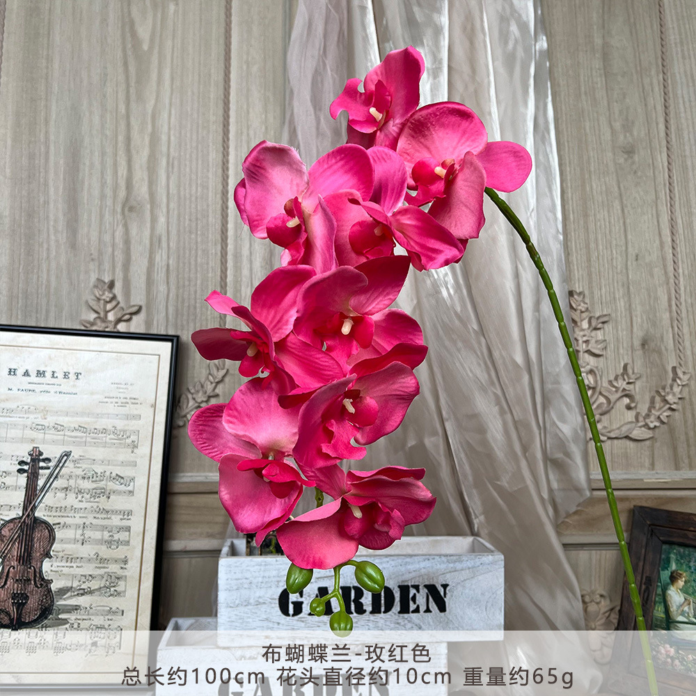 XD-cloth phalaenopsis-Rose Red