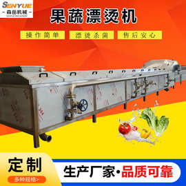 商用果蔬蒸煮漂烫机水果片漂烫冷却机秋葵漂烫杀青机鲜毛豆蒸煮机
