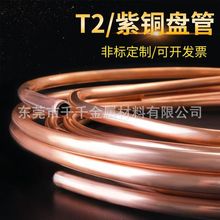 T2���~ֱ�� ���~�� ���~늘O�� ���~���{�~��