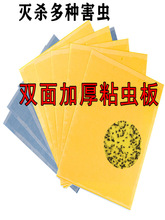 �S�����a���l�p��Ӻ�ճ�x�S��@��ճ����N���x�m���r�I�߲˹Ϲ�