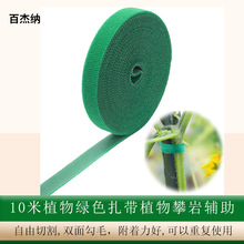 ���l�҃��⻨�@�Gֲħ�g�N�����ٗlֲ��̶�����|ֲ�������o����