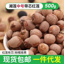 【包邮】湖南湘莲 中号带芯红莲 湘莲莲子干货 500g 带芯红莲代发