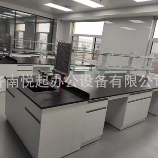 加工定制实验室中央台 钢木边台 全钢试验台 通风柜 可上门测量