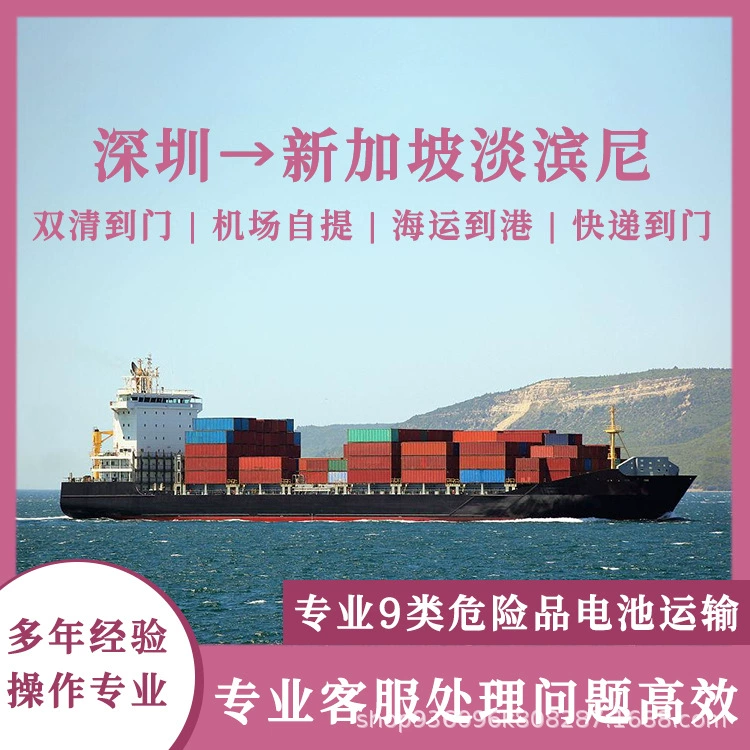 Тройная литиевая батарея Шэньчжэнь в Сингапур Tampines Air Shipping, включая налог двойной очистки до двери CIF/DDP