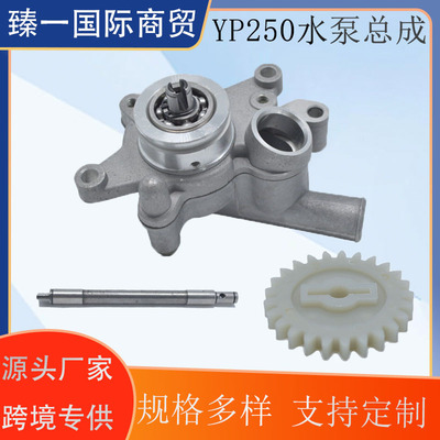 适用于雅马哈YP250金浪250 LH250沙滩车ATV300水泵总成水泵轴带齿