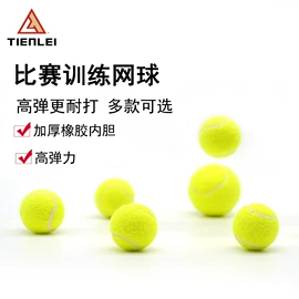 网球;其他网球配件