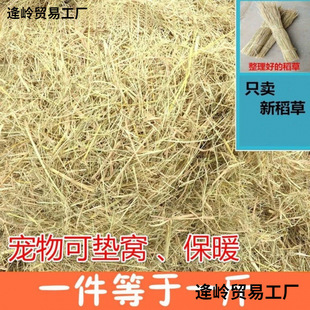 ۫�Z���ݸɲ݉|�������^���ݹ��C�u����|�C��Ȼ�ɵ��ݽն��̗U��