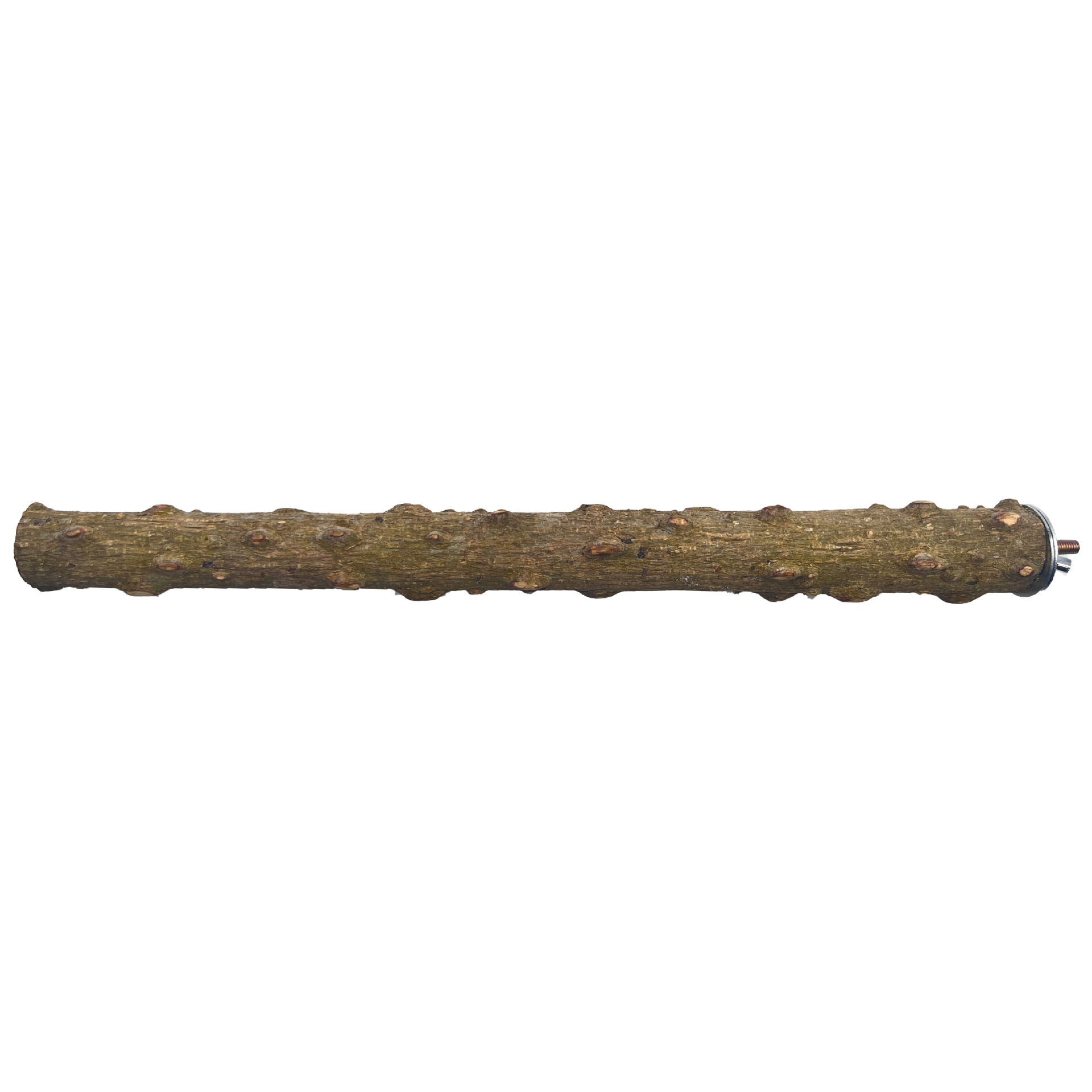 Percha de Madera de Pimienta Natural para Pájaros para Pájaros image 8