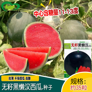 �o�ѺڑНh���ϷN�� ������������Ƥ������֭��Ƥ�o��������