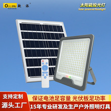 �羳2025�¿�ڵ�ͥԺ�� ��������LED���ʳ�����ˮ̫����Ͷ���