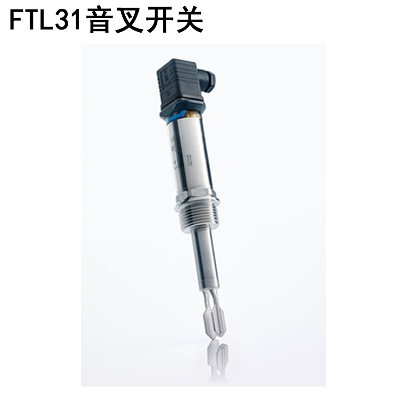 E+H 音叉液位开关FTL20-0020 替代型号 FTL31-AA4U2AAWBJ