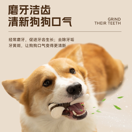 Pet toys eat and play with bones, teeth cleaning and molar sticks, cowhide sticks, dog chew gum, hind leg bone chewing dog chew toys