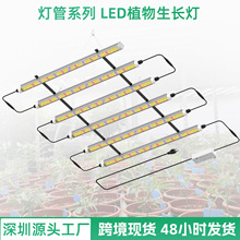 ȫ���VLEDֲ�����L�����������a����߲˶��⻨�ܷNֲ���{����l