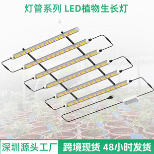 ȫ���VLEDֲ�����L�����������a����߲˶��⻨�ܷNֲ���{����l