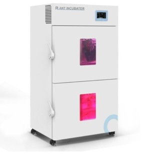 BEINGؐ�� LED ֲ�����L�� ��ֲ���I���о��͑��ö��OӋ