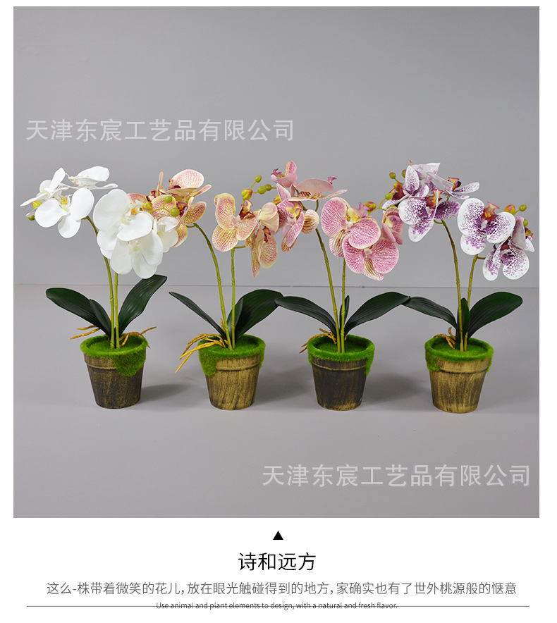 详情_05.png