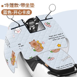 Electric Vehicle Windshield, Summer Sun Protection Cover, Cape-Style Battery Motorcycle, Summer Waterproof, Universal for All Seasons, Spring and Autumn