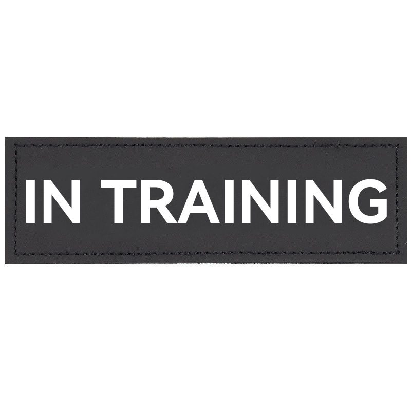 IN TRAINING