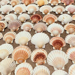 �ʺ���ؐ��Ȼ���ݷ�ɫؐ���b�Ʒ����YƷ�˱��ղؼҾ��b[��