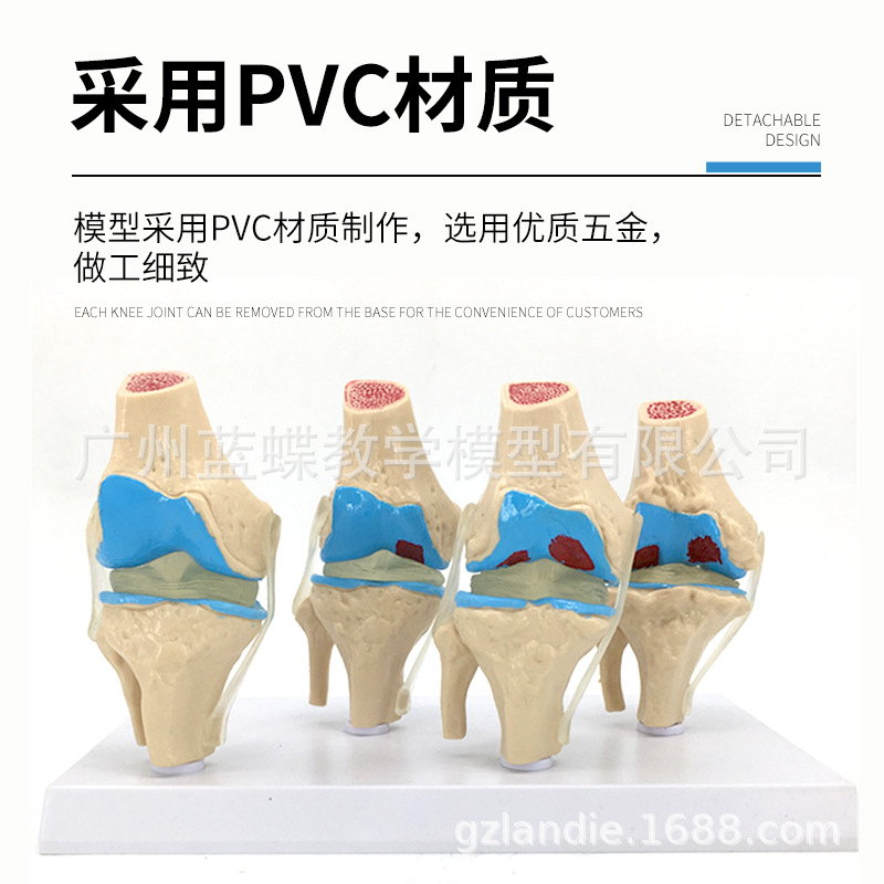 ���岡��ϥ�ؽ�ģ�� ��̬ϥ�ؽ������� ϥ�ؽ� ϥ�ؽھ�������ͨ