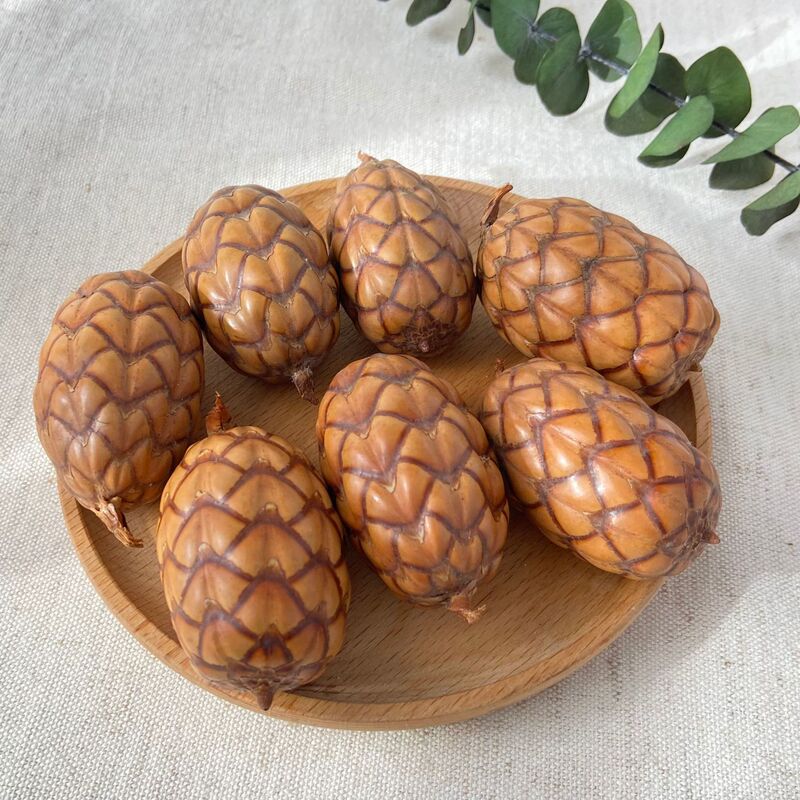 Imported Dried Fruits, South American Wine Palm Fruit, Healing Natural Plant Crafts, Decorative Ornaments