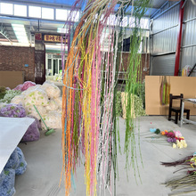 �������l�Gֲ ��ѿ������ѿ���ϻ����~ �����b�֦�Ҿӷ�����֦