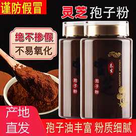 灵芝孢子粉产地直发年货礼品袍子粉长白山椴木灵芝粉灵芝孢子粉