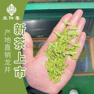 2026���²������G�� �S�Ҍ����㽭���x������ɽ���~ɢ�b�F؛���l