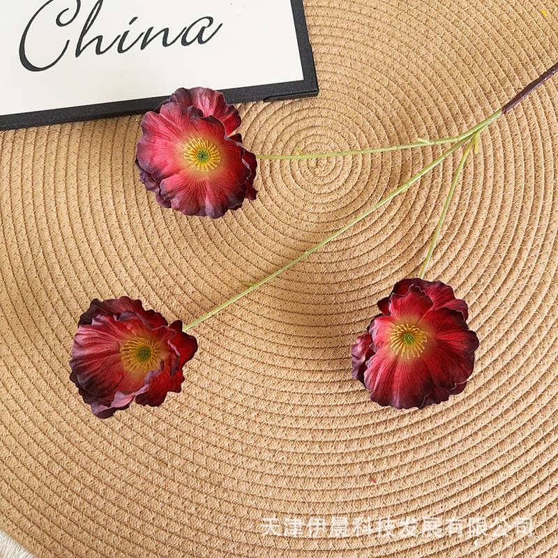 3송이 양귀비 - 플레임 레드