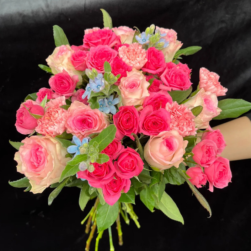 玫瑰花鲜花云南昆明基地批直发百合向日葵红豆家用鲜切水养插|undefined