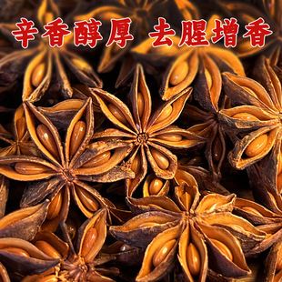 ���x�ؼ��V����t�˽����ϴ�����ɰ˽ǷۏN���{ζ�ϴ�ȫ���l���l
