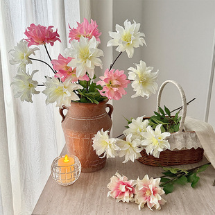 �߼���2�^���������滨�ٻ��Ҿӿ͏d�����b���c�����Ĕz����