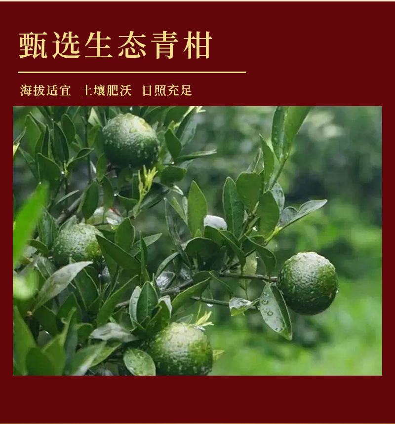 鸿运好礼-小青柑_07.jpg