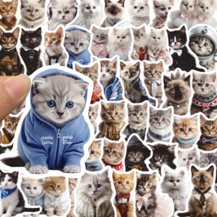 50 cartoon cute cat stickers mobile phone shell water Cup guitar waterproof stickers cute cats sticker