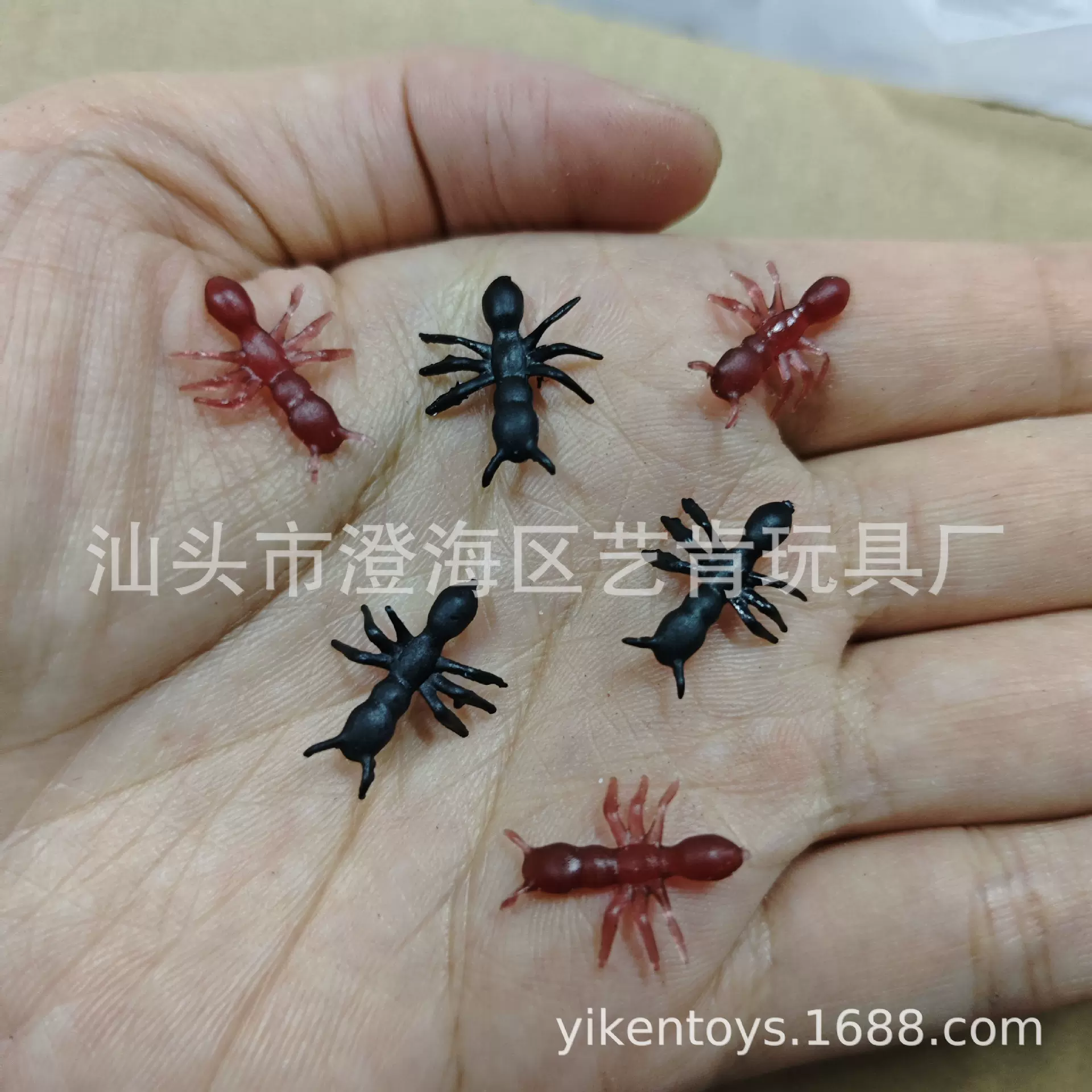 黑色蚂蚁万圣节搞怪蚂蚁整人小昆虫模型玩具愚人节仿真小蚂蚁模型