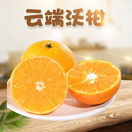 粽子;瓜果类;香蕉