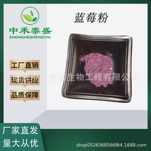 蓝莓果粉提取物冻干粉花青素500g/袋固体饮料烘焙抗氧化植物