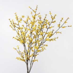 ���滨ӭ���������껨����͏d��߅���廨���ķ���ӭ������֦��