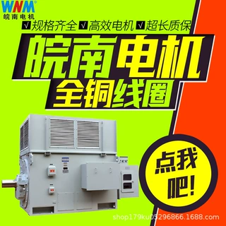 皖南电机马达YR高压电动机三相异步18kw22kw30kw37kw45kw55kw75kw