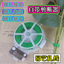 �Gɫ�����F�z��������������ˇ���z�����K��������ֲ��̶��F����