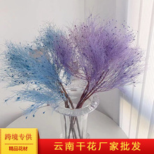 �ɚ���ë�݉��ò����B���r���������òݸɻ������ɲ��b廨