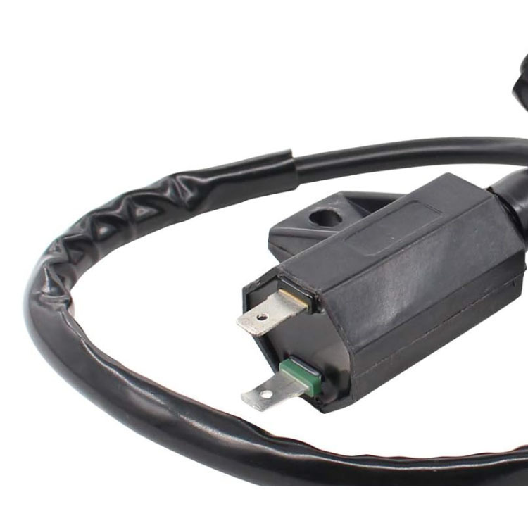 Paquete de alta tensión bobina de encendido LT80 Quadsport 80 Z 250 230 LT230S