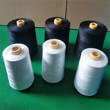20s/3��]�� 500��1����ٿp�x�� ������Iƽ܇�� ��ĥ���ྀ